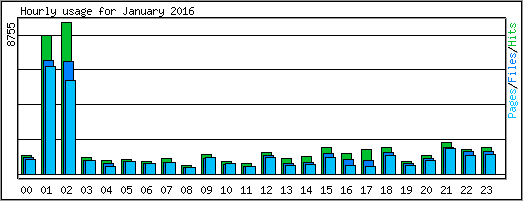 Hourly usage