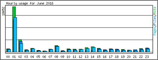 Hourly usage