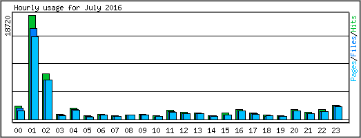 Hourly usage