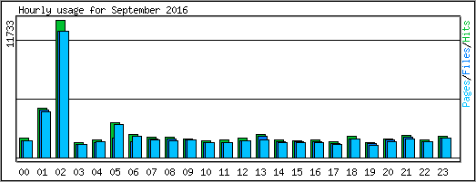 Hourly usage