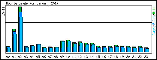 Hourly usage