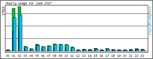 Hourly usage