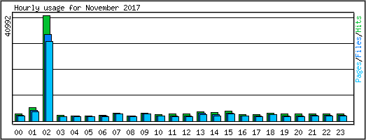 Hourly usage