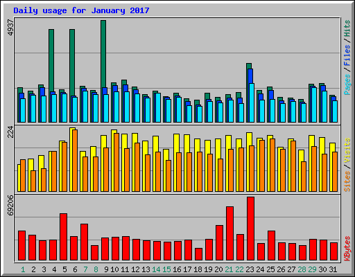 Daily usage for January 2017