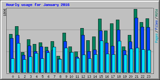Hourly usage for January 2016