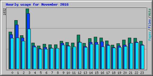 Hourly usage for November 2016
