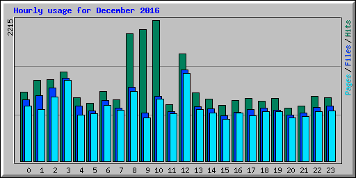 Hourly usage for December 2016