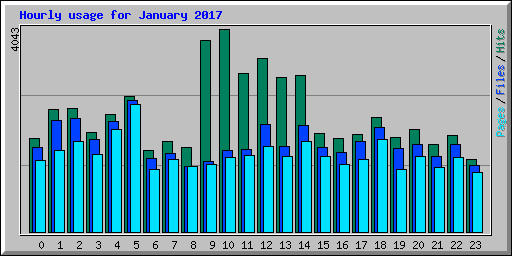 Hourly usage for January 2017